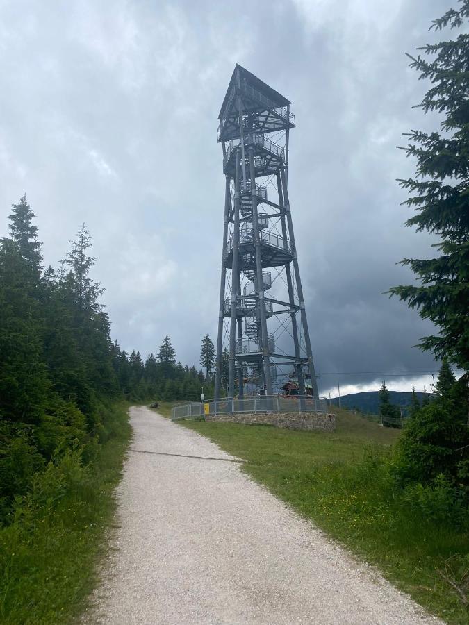 Vila 66 - Čistá v Krkonoších Černý Důl Exterior foto