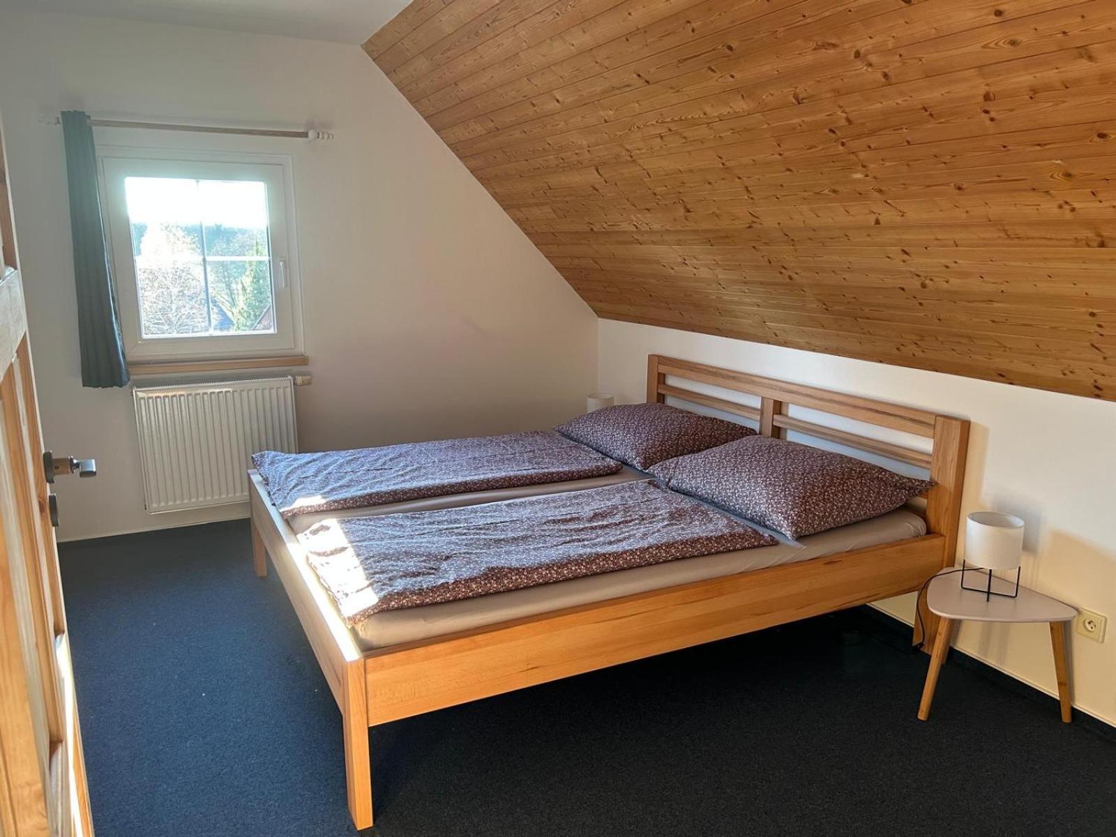 Vila 66 - Čistá v Krkonoších Černý Důl Exterior foto