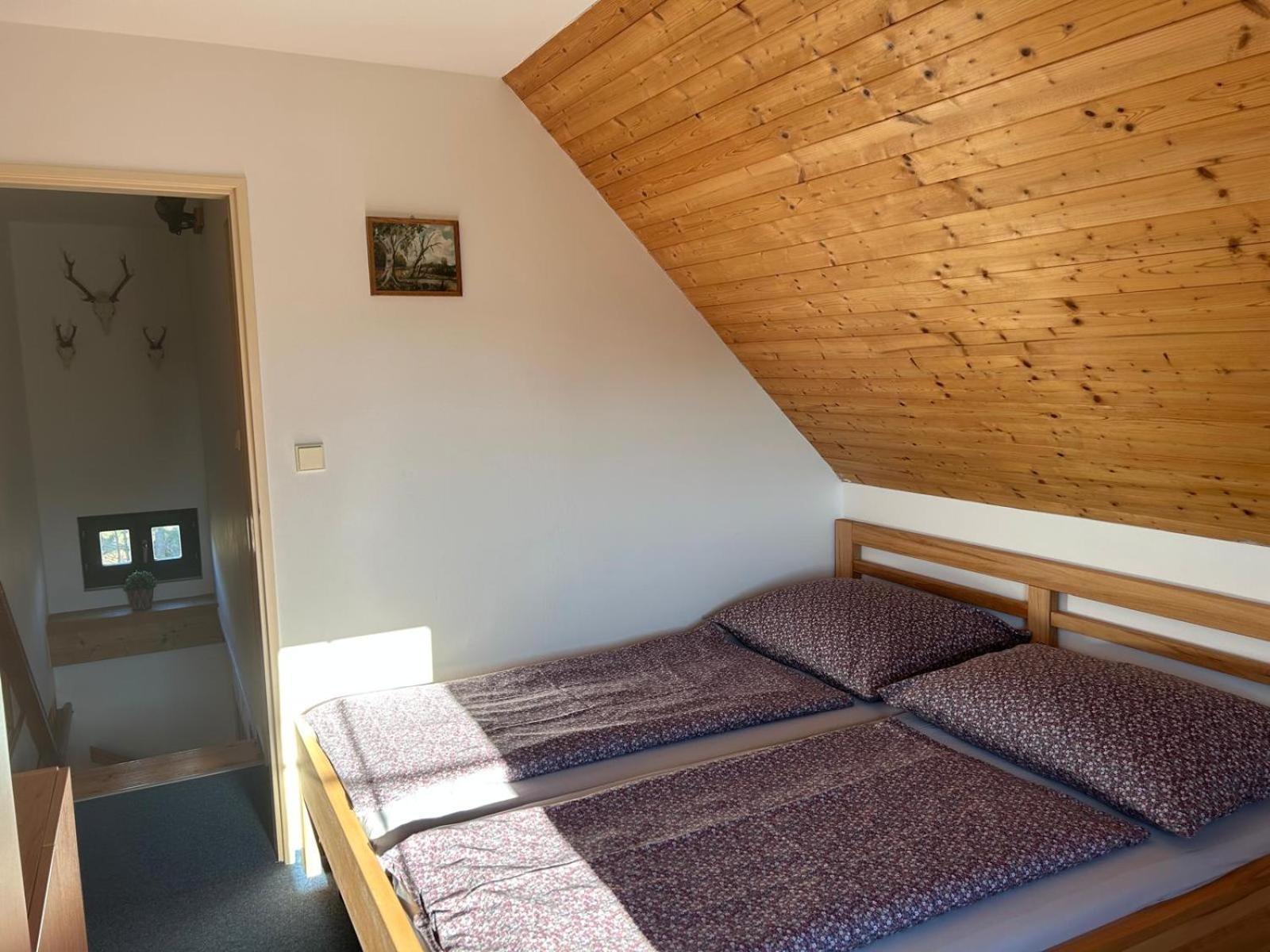 Vila 66 - Čistá v Krkonoších Černý Důl Exterior foto